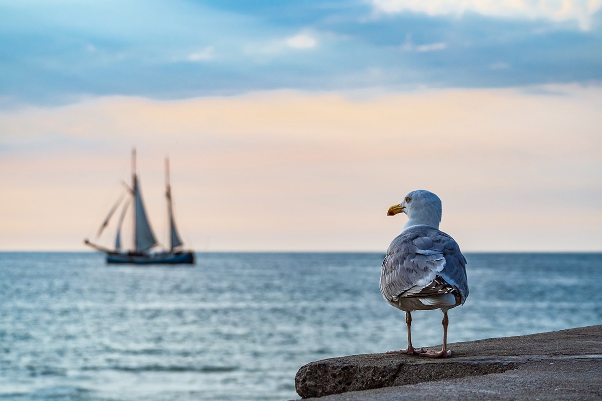 hc-stahlfunken-at-the-seaside