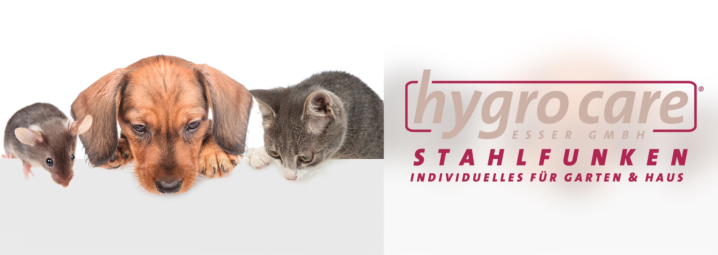 hc-stahlfunken-header-hund-katze-maus hc-stahlfunken-header-hund-katze-maus