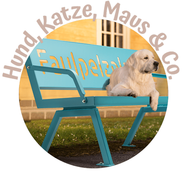 Stahlfunken_Hund-Katze-Maus-Rasta-P802-Tuerkisblau-E5018