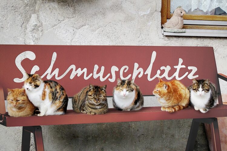 Platz für ganz viele Kuschelbedürftige
