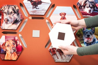 Hexagon-Fototafeln auf Hartschaumplatten, mit Magnetfolie beklebt.